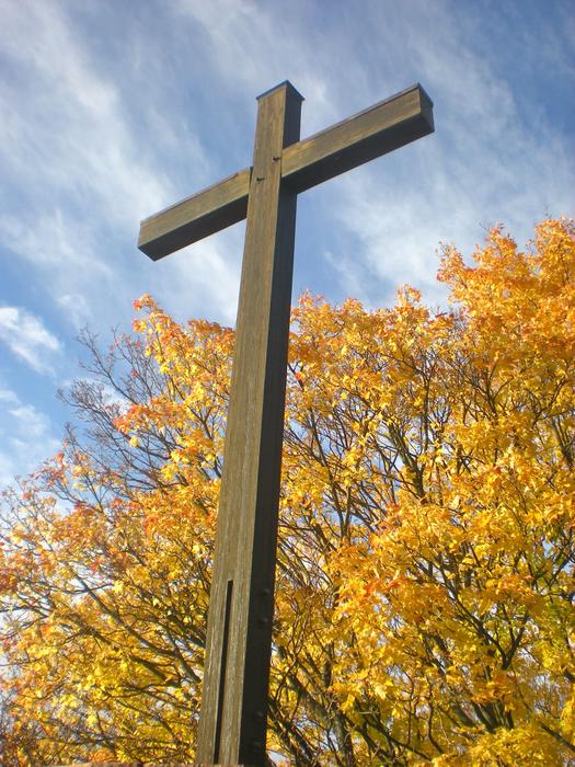 Cross and yellow Tree