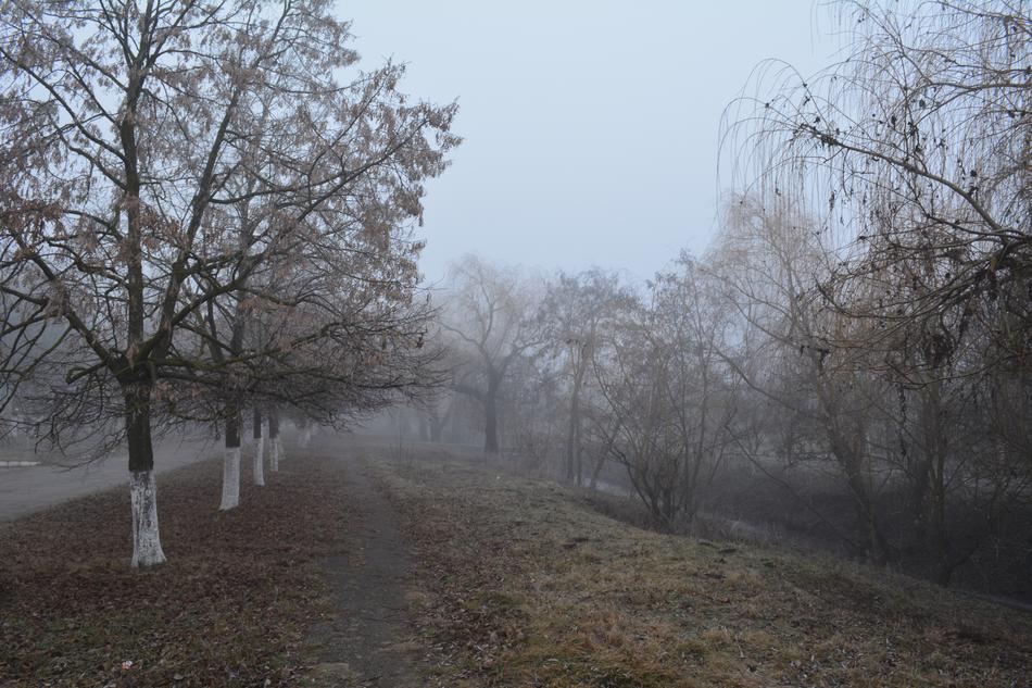Ștefan Vodă Gealair River Late