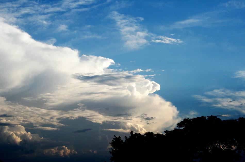 Clouds Bank White
