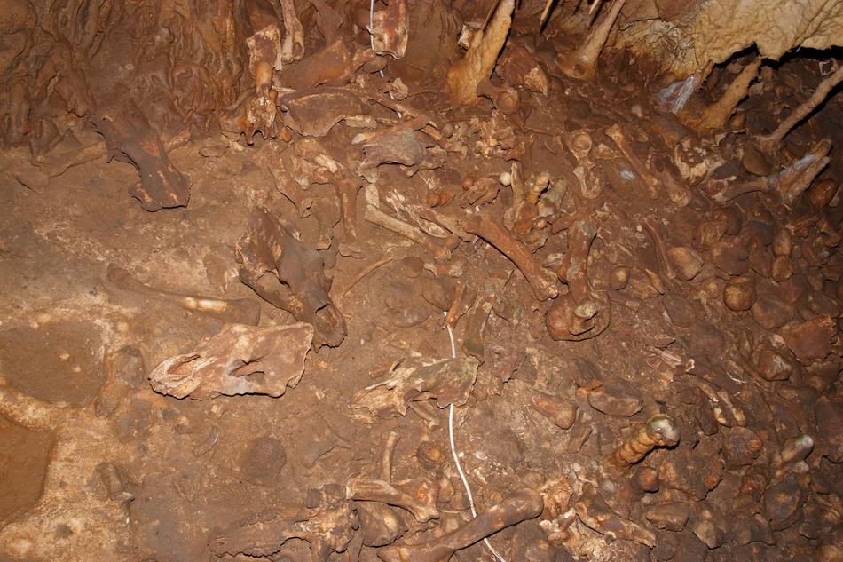 muslim Bones Kelyuk