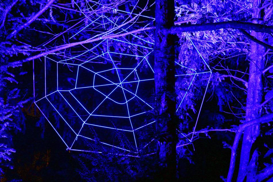 Cobweb Web Westphalia Park Winter