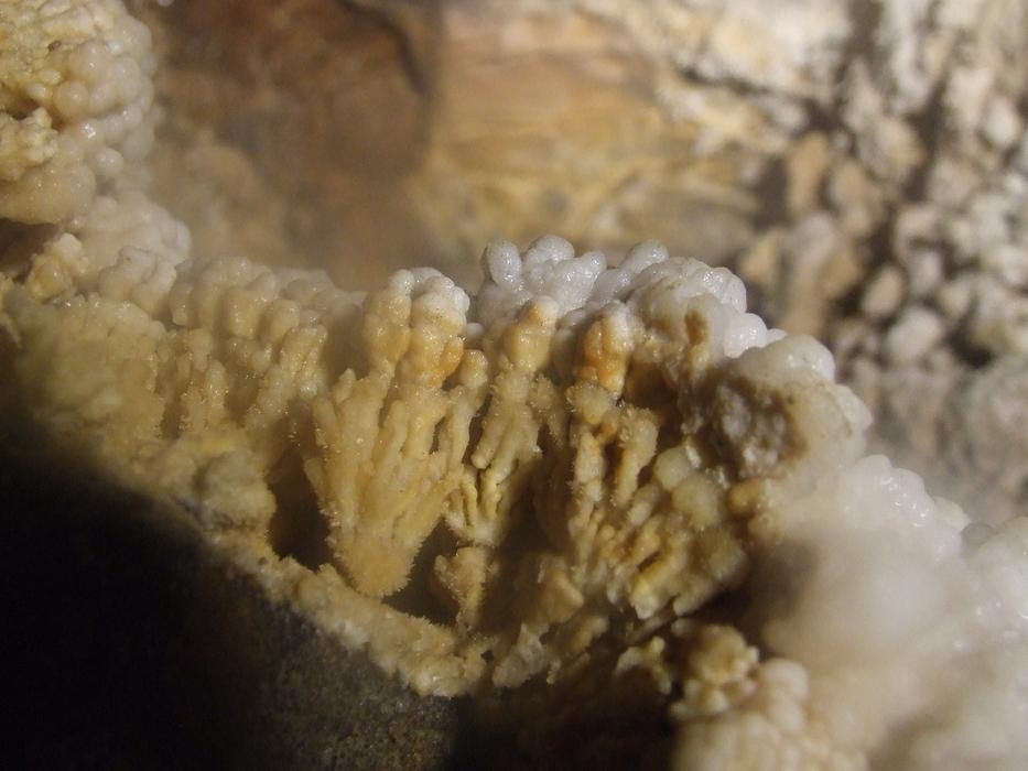 The mineral Aragonite Heviz