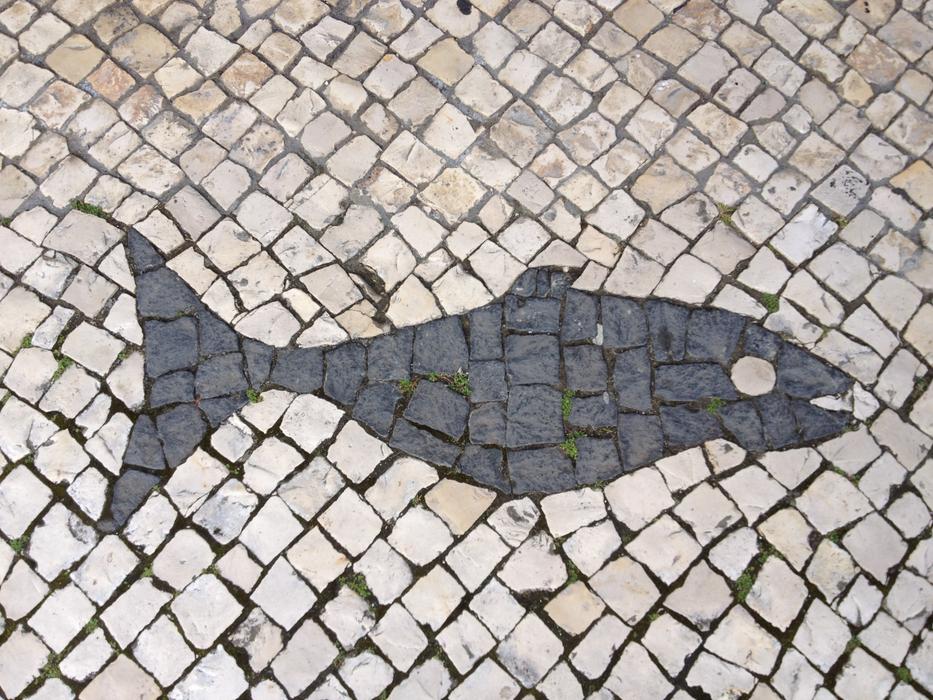 silhouette of fish on paving stones