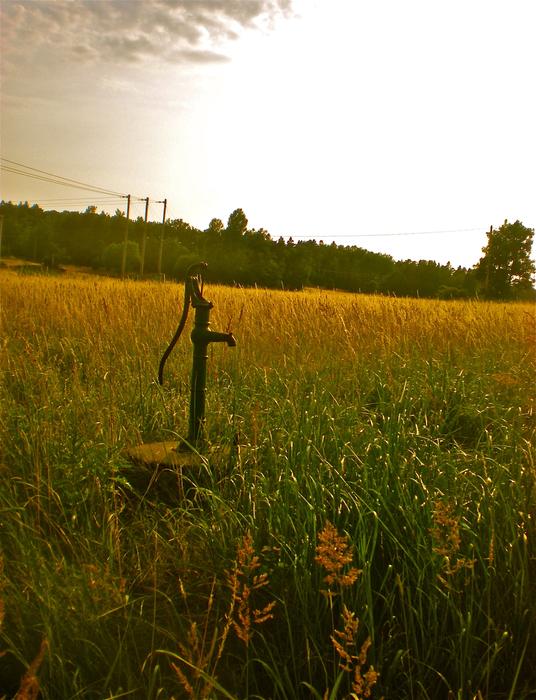 Field Grass Well