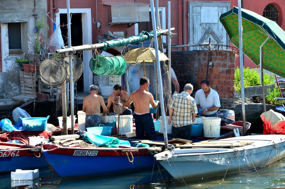 Fishing Boats Chioggia