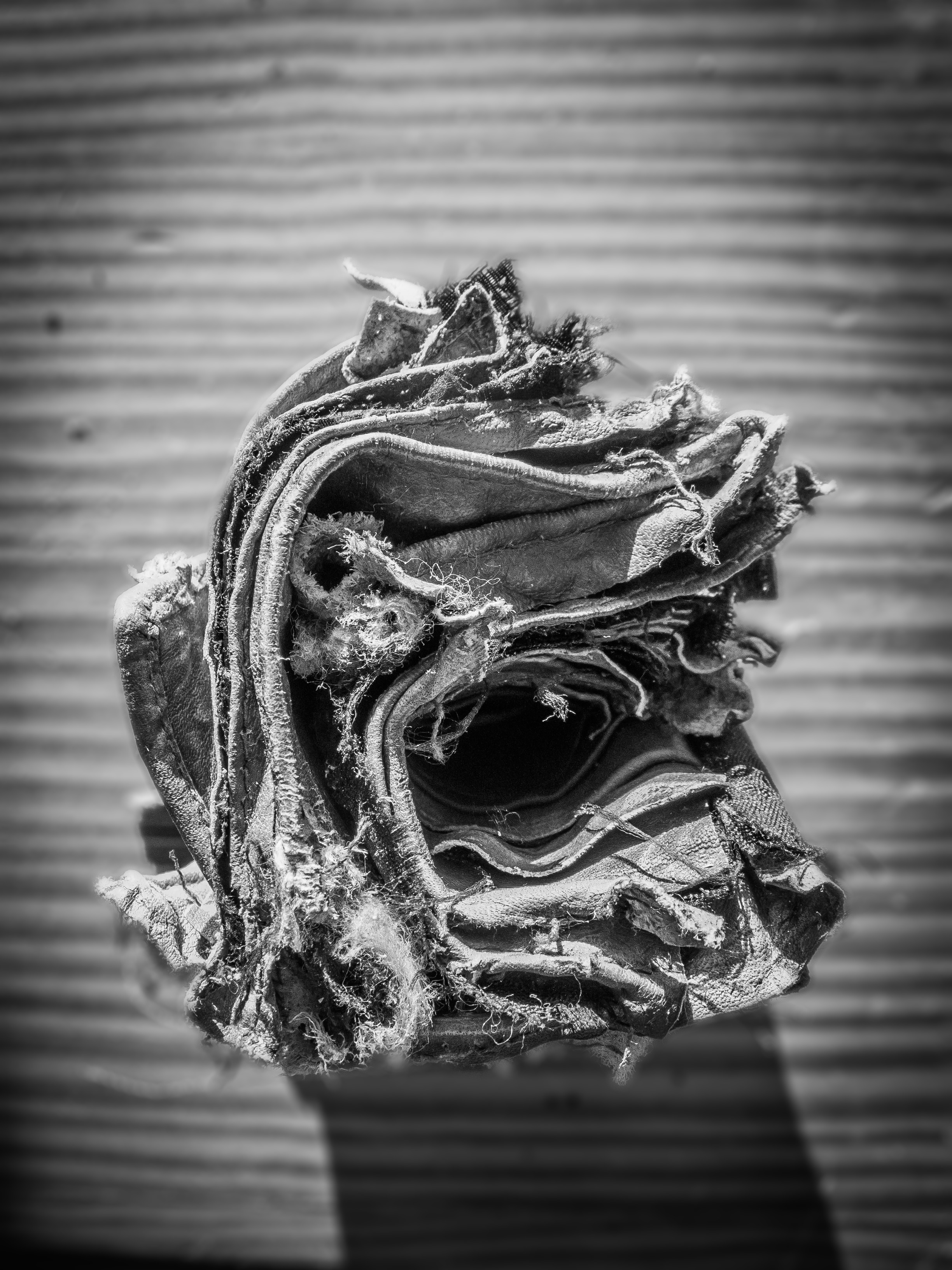 Purse wallet chewed broken leather free image download