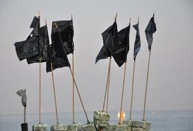 Pennants Sea