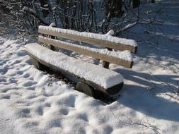 Winter Snowy Bank