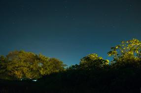 Night Sky Lights