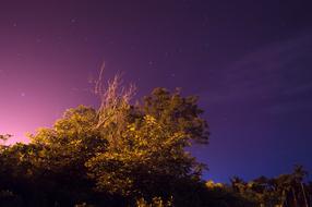 Night Sky Lights
