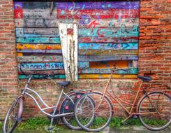 Holland Zierikzee Bike Colorful