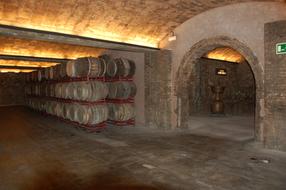 Wine Cellar in Spain