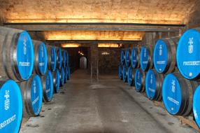 Wine Cellar Barrels