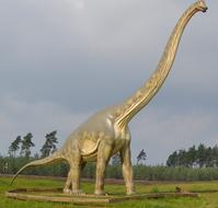 Dinosaur Brontosaurus Sauropods
