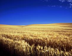 Scenic Kansas Farm