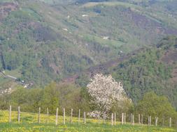 Valle Of The Lot Cantal