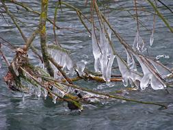 Icicle Ice Winter