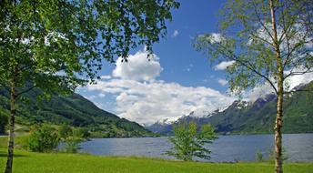 mountain lake, trees in Norway