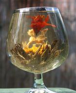 Tea Flower Glass Asia