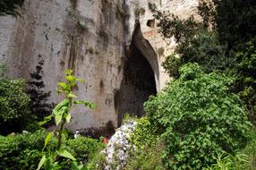 Syracuse Siracusa Ear Of Dionysus