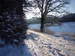 Winter Sunrise Snow