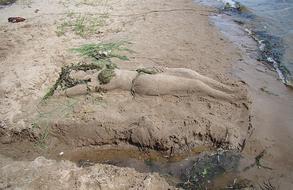 Sculpture From Sand River Bank