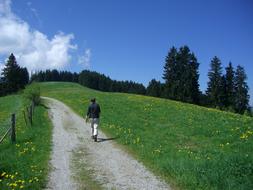 Hiking Walk Trail