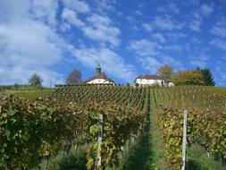 Gengenbach James Bus Chapel