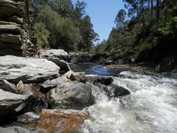 Ferreira River Water