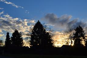 golden clouds at Blue Sky over dark spruces