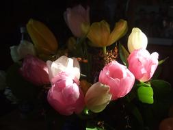 pink Tulips Bouquet at sunlight and shadow