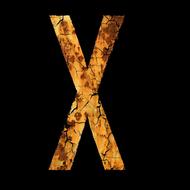 X Letter Rusted Font