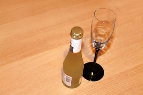Champagne Glass Bottle