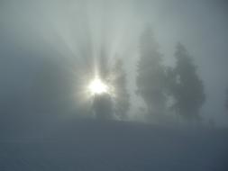 winter trees, fog, sunbeam in Allgau, Germany