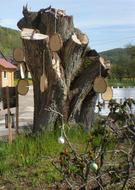 Easter Tree Stump grates