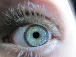 ice Eye Supermacro Macro