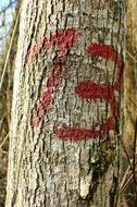 Thirteen 13 Number on tree