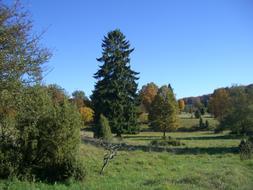 Autumn Hartsfeld Colorful Forest