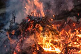 Inferno Fir Sprigs Fire