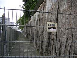 Berlin Wall Fragment