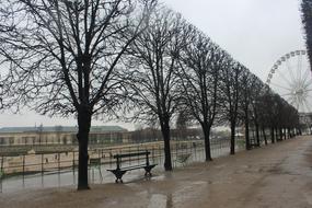 Paris Garden Winter Ferris