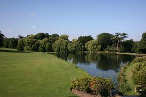 Lake Lawn Trees