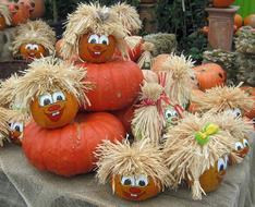 Pumpkin Gourd Harvest