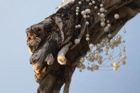 Drift Wood Beads Decoration