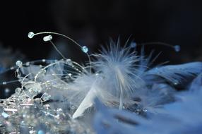 Macro Pen Biel
