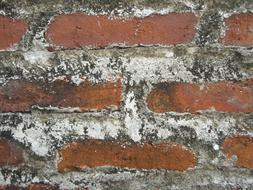 Wall Brick Cement