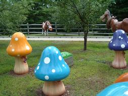 Playful Mushrooms Fun