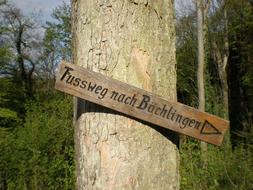 Directory Wood Arrow