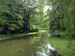 lake and green trees in Stahlsculturepark Schwerin, Germany