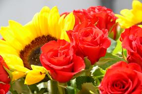 yellow sunflowers and red roses in a bouquet